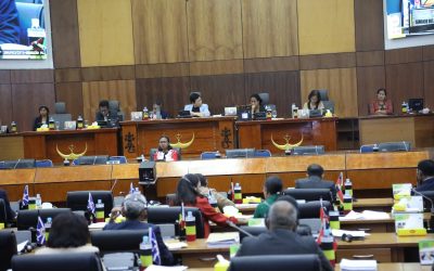 Problema Saúde sai Kestaun prinsipál Ne’ebé Deputadu sira Foti iha Plenária